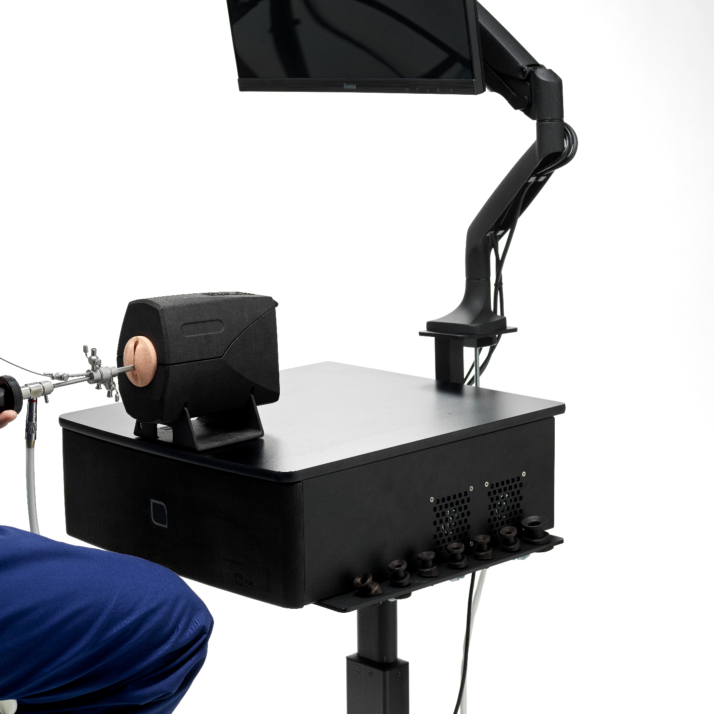 Hysteroscopy Simulators - alternate view