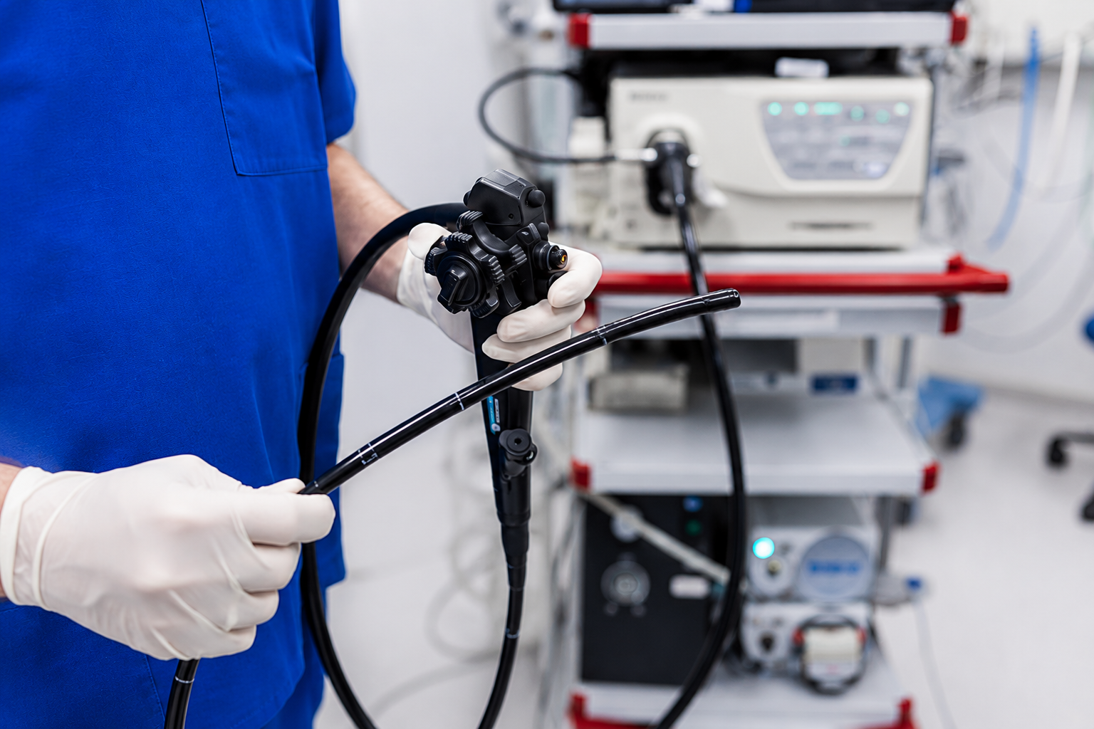 Flexible endoscopy surgical simulator